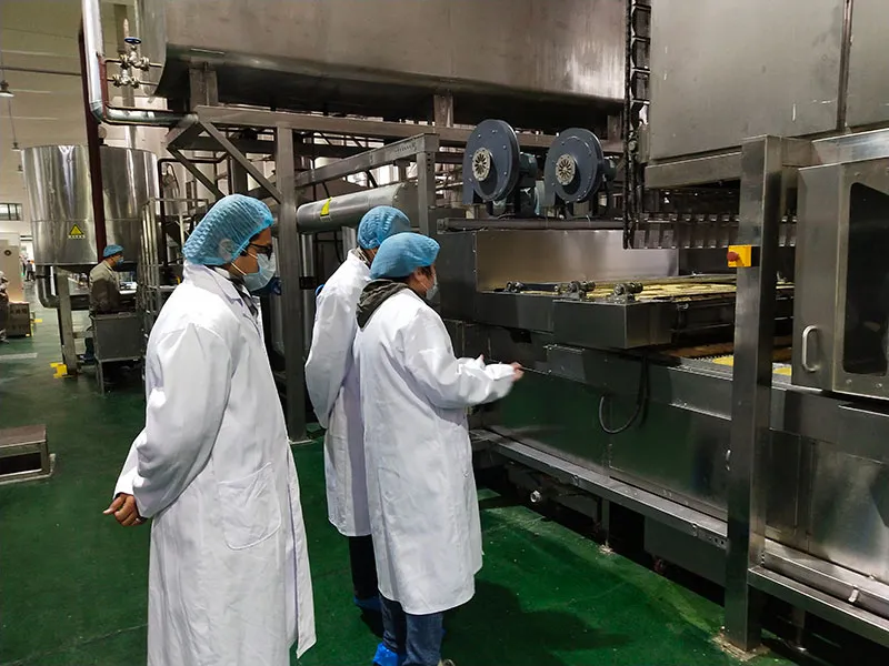 Línea de producción de fideos instantáneos fritos 500 en la India